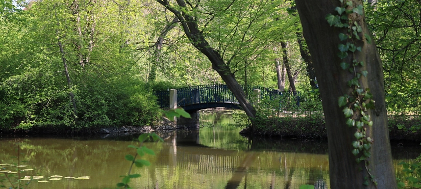 Brücke im Ernst-Ehrlicher-Park&nbsp;&copy;&nbsp;Stadt Hildesheim