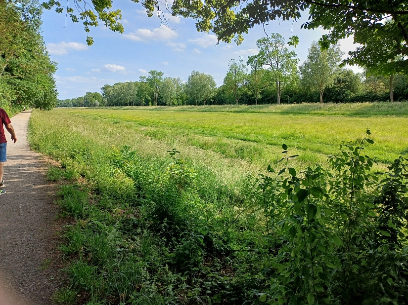 Die Hundefreilauffläche ist das Überlaufbecken der Innerste und erstreckt sich weit in die Landschaft