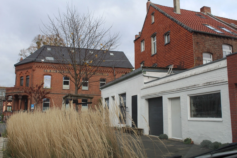 Patenschaft Feldstraße / Ecke Von-Wintheim-Straße
Japanische Ulme und Gräser